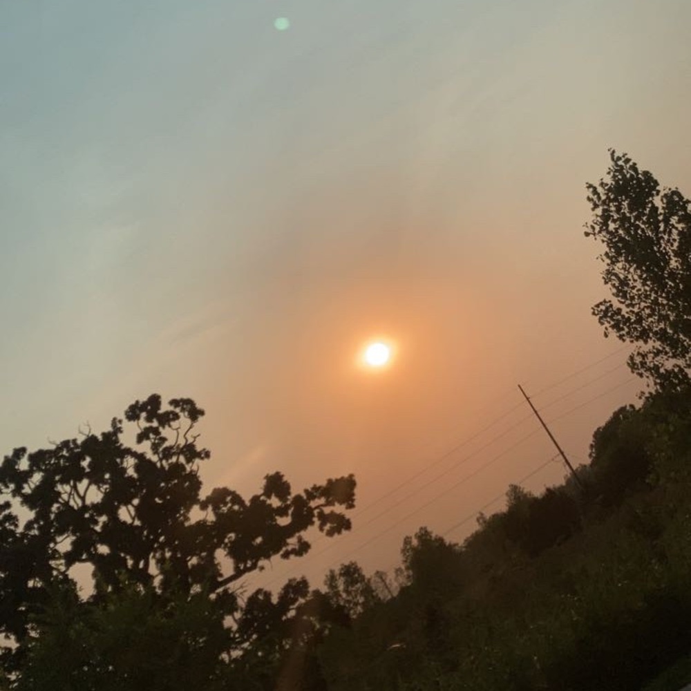 Meet your Posher, Brenna